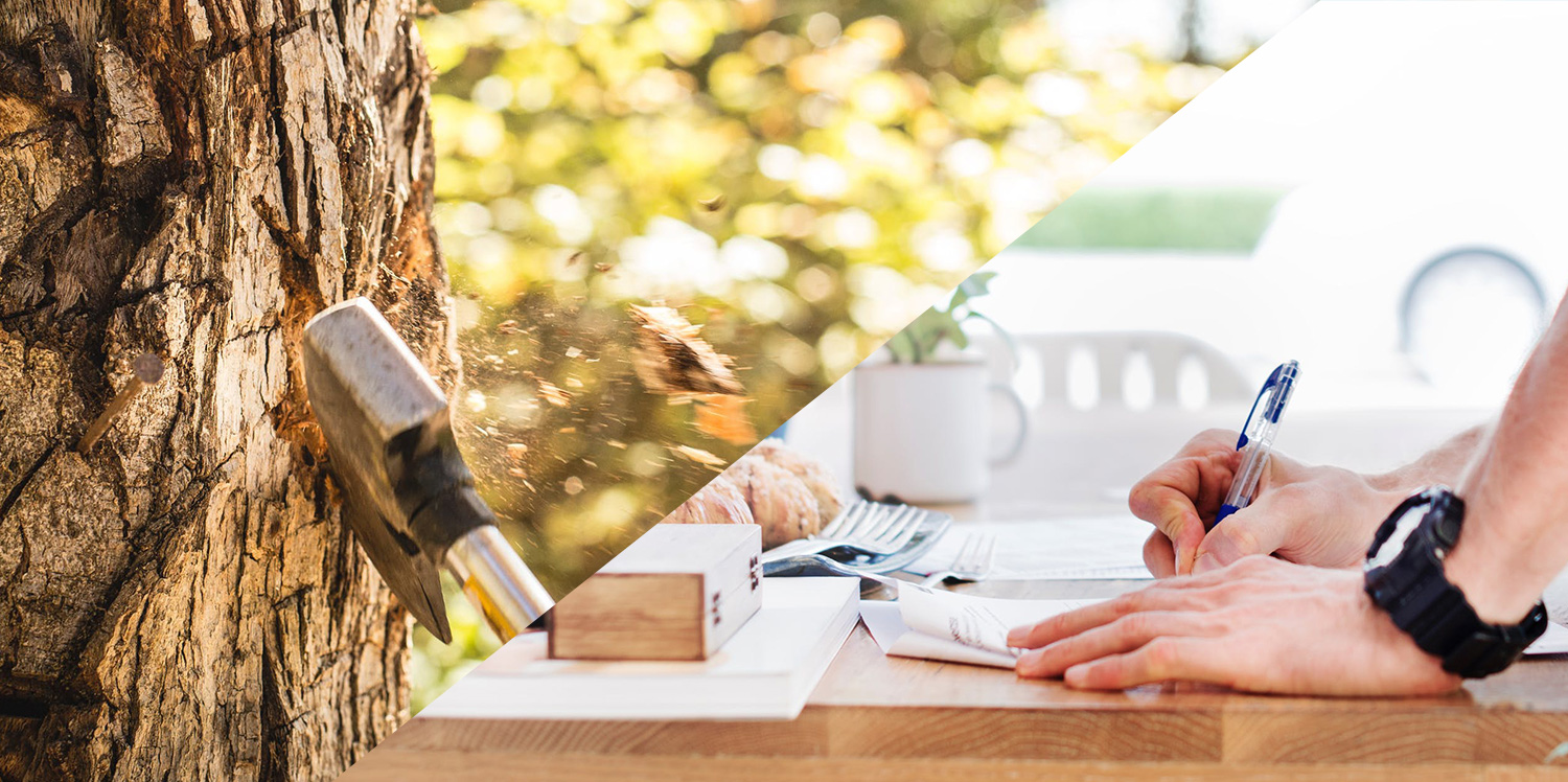 Gold Coast council tree removal application Expert Tree Removal 2020