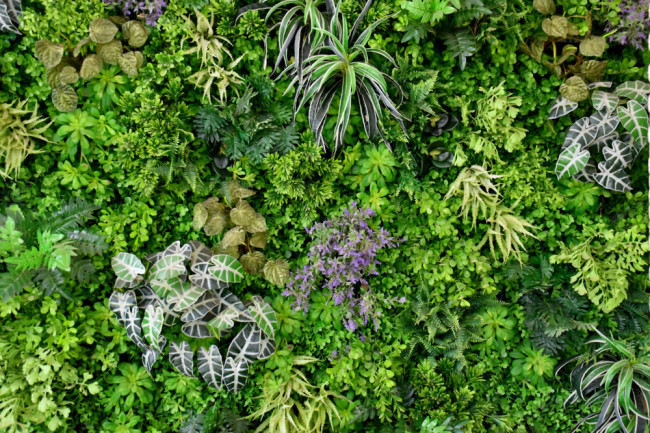 vegetation management