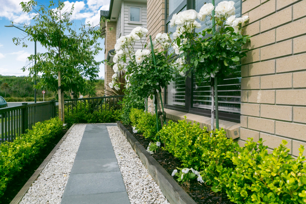 Garden Landscaping Auckland Best Garden Clean up North Shore Auckland