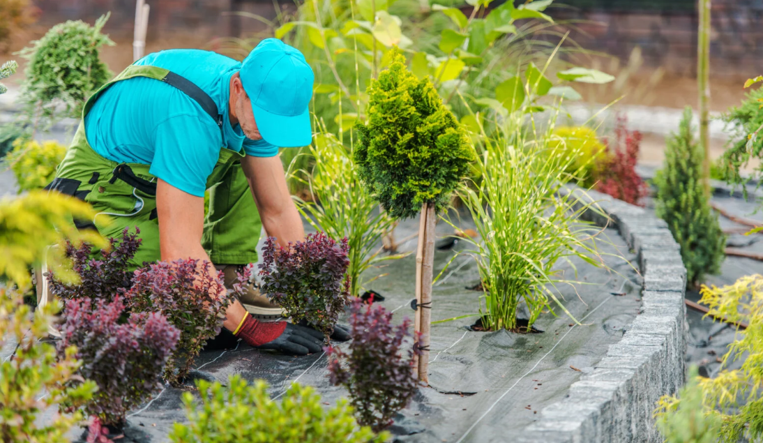 local garden landscapers