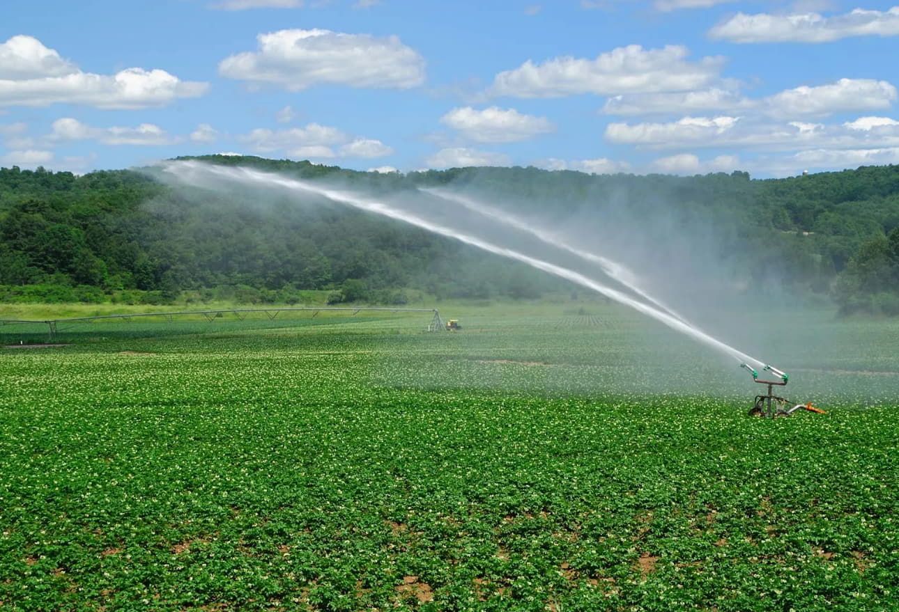 irrigation in Toronto