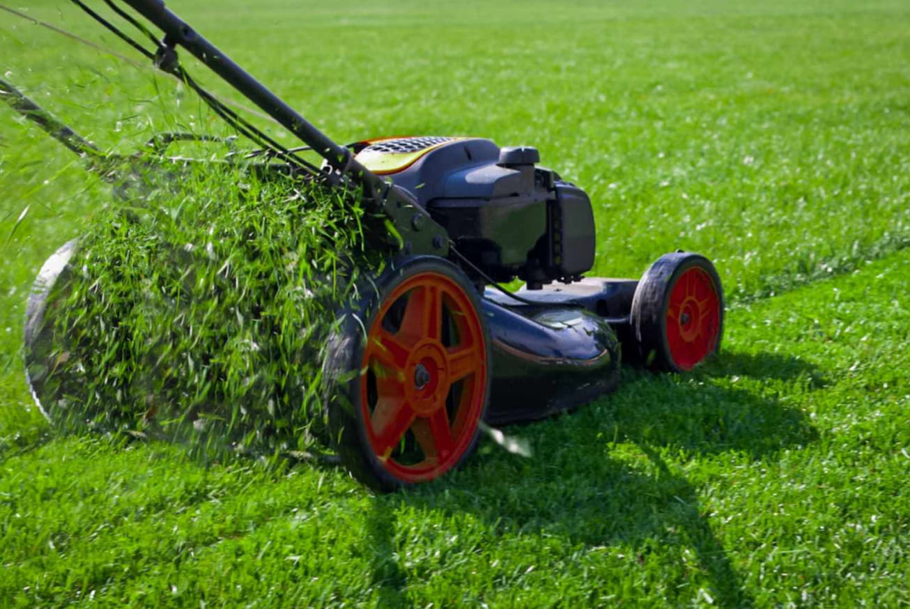 lawn maintenance
