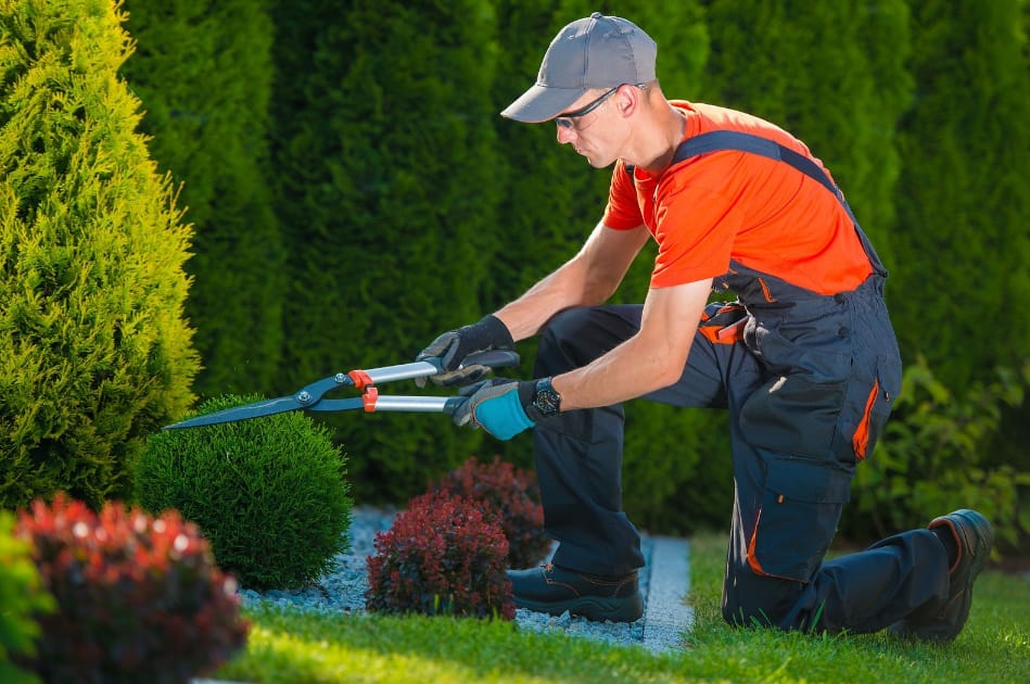 Garden Maintenance North Shore