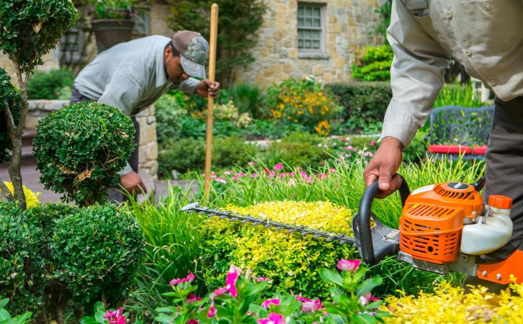 Landscapers