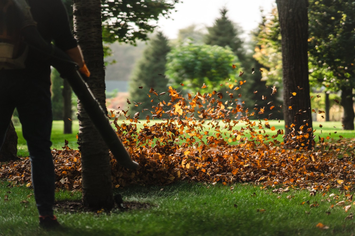 garden maintenance