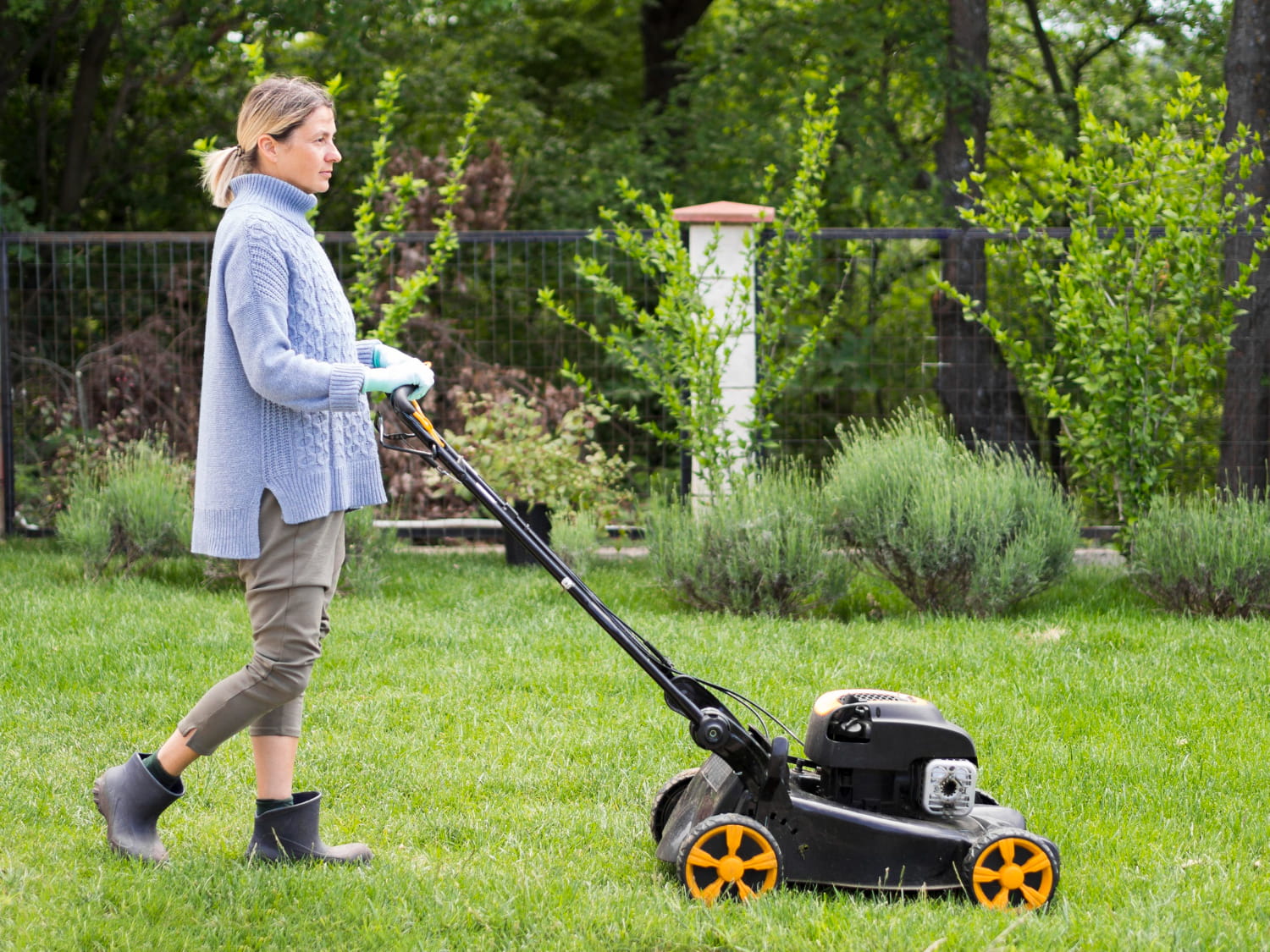 lawn maintenance